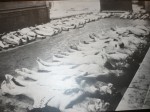 Muzeul Holocaustului Din Bucuresti 07